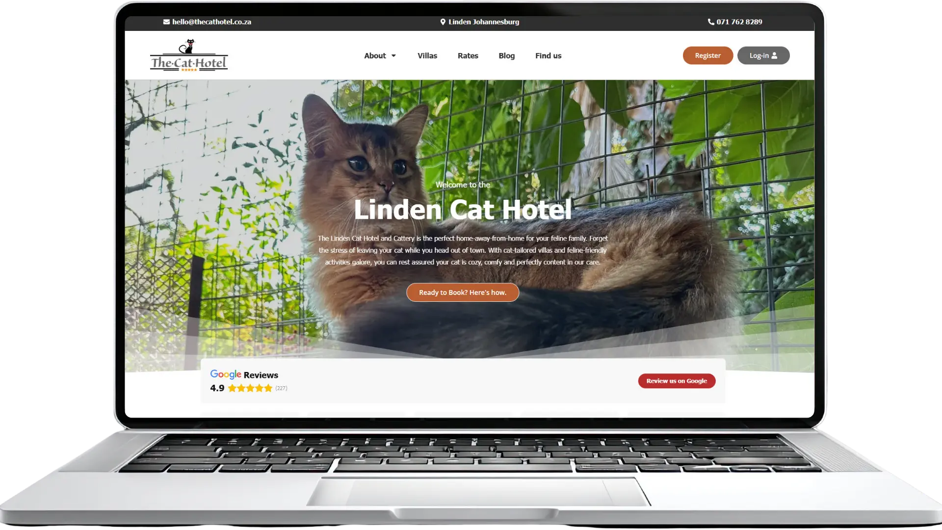 Cat Hotel website on Laptop