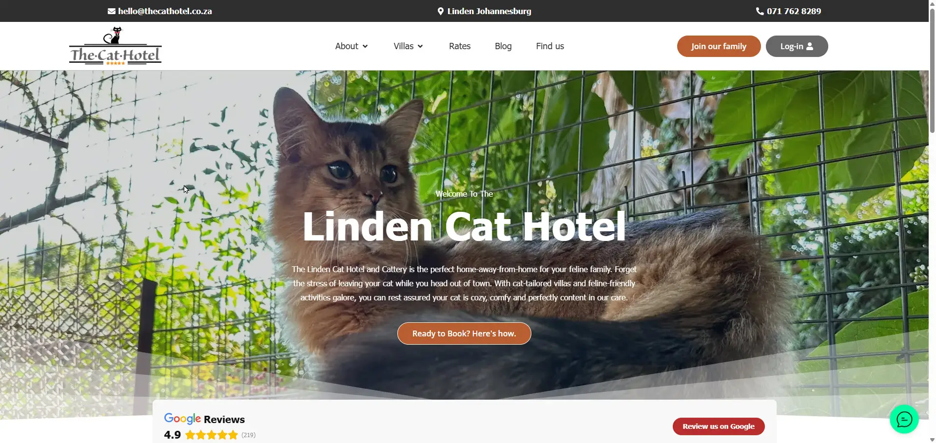 The Linden Cat Hotel website