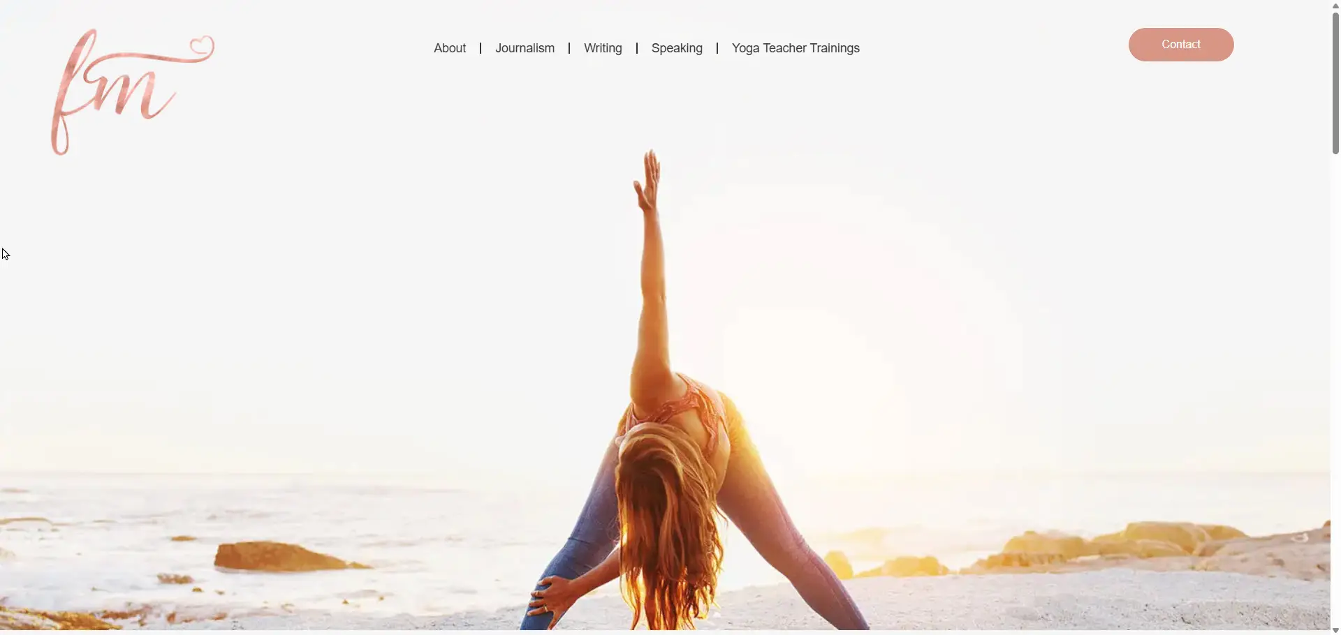 Firdose Moonda website
