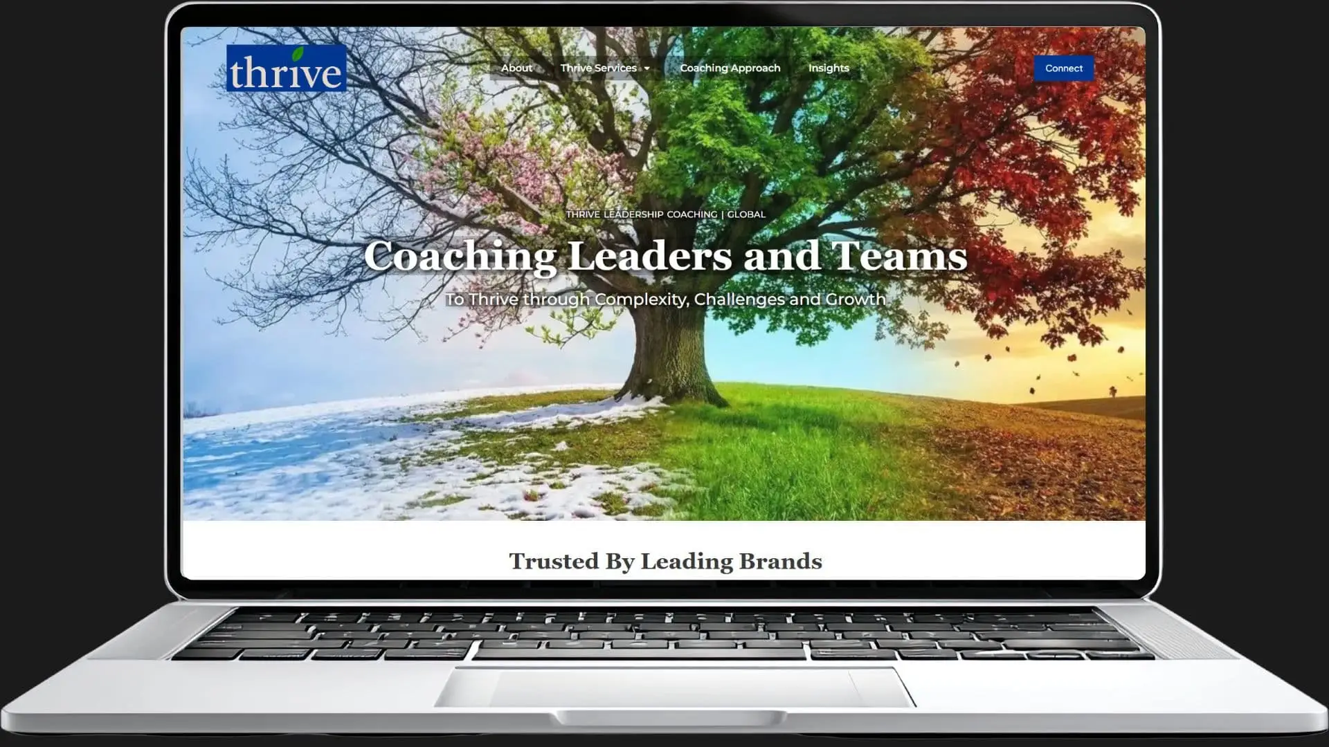 ANThrive website screenshot