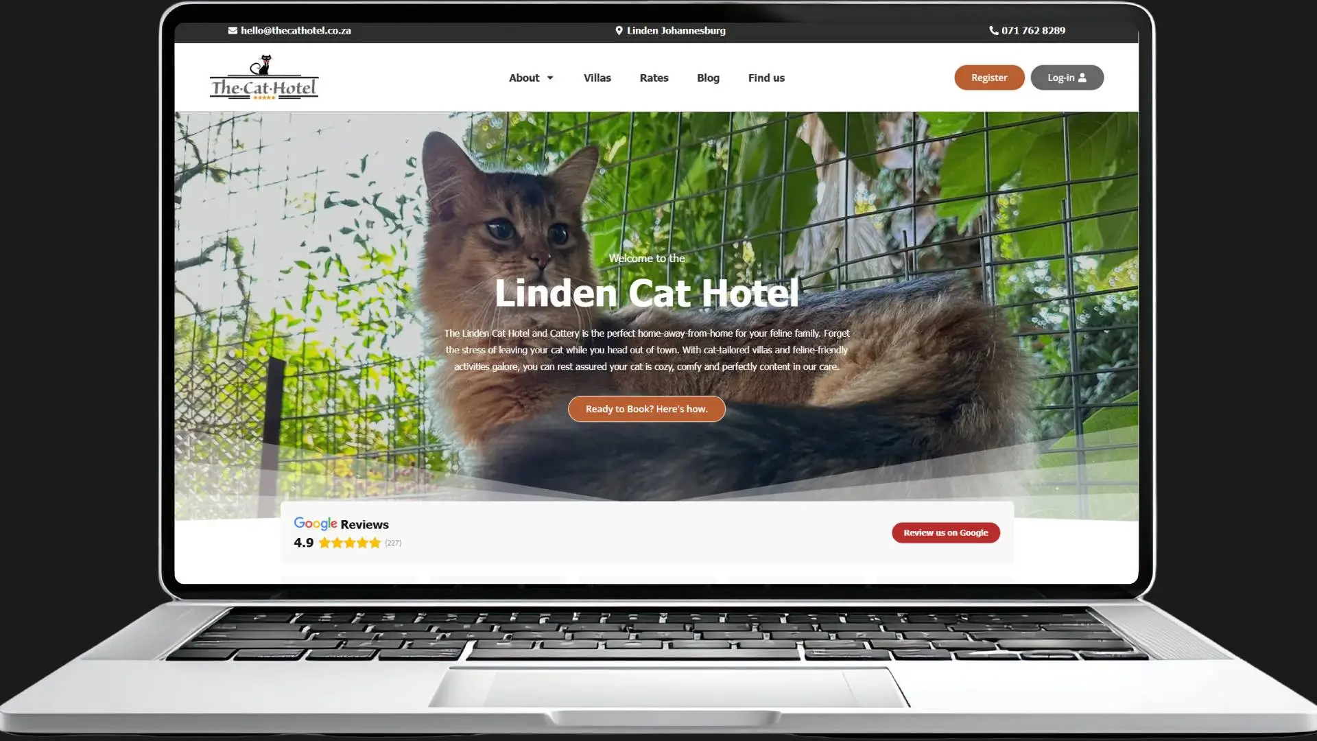Cat Hotel website on Laptop